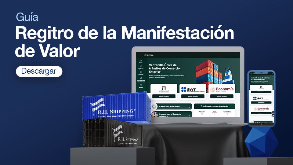 Registro de la Manifestación de Valor